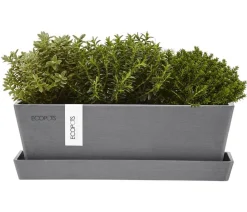Ecopots Pflanzkübel & Blumenkästen > Kunststoff-Topf Bruges mit Untersetzer, rechteckig