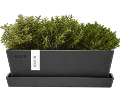 Ecopots Kunststoff-Topf Bruges mit Untersetzer, rechteckig Dunkelgrau Sale