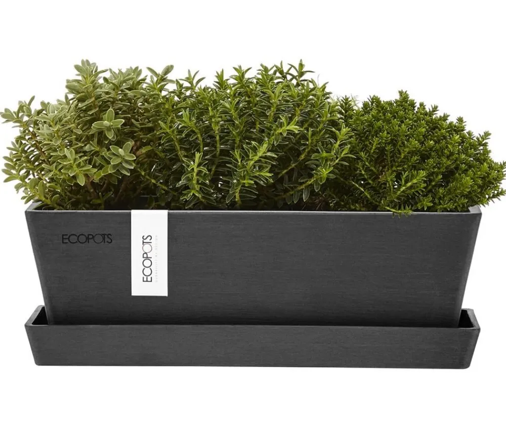 Ecopots Kunststoff-Topf Bruges mit Untersetzer, rechteckig Dunkelgrau Sale
