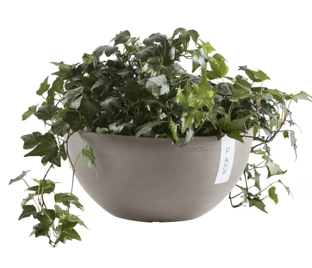 Ecopots Blumenampeln & -Schalen|Blumentöpfe & Übertöpfe > Kunststoff-Topf Brussels, rund