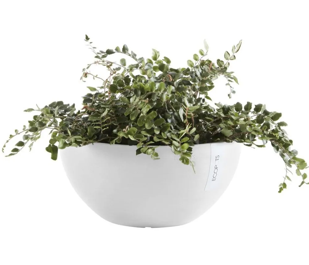 Ecopots Kunststoff-Topf Brussels, rund Weiß Discount