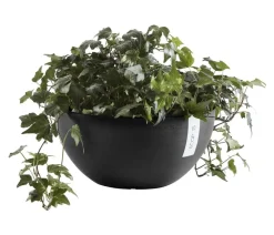 Ecopots Kunststoff-Topf Brussels, rund Dunkelgrau Online