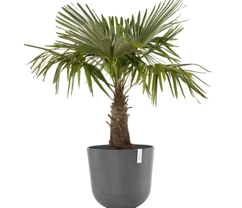 Ecopots Blumentöpfe & Übertöpfe - Kunststoff-Topf Oslo, rund Grau