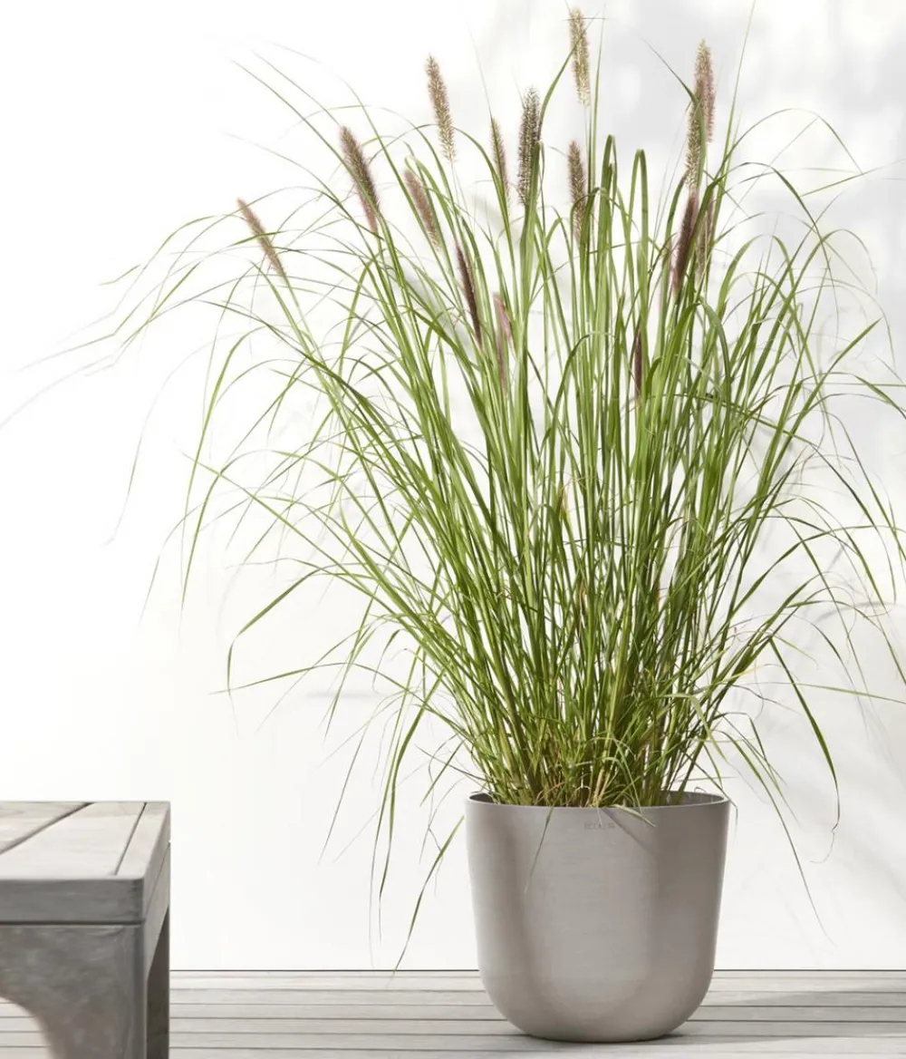 Ecopots Blumentöpfe & Übertöpfe > Kunststoff-Topf Oslo, rund