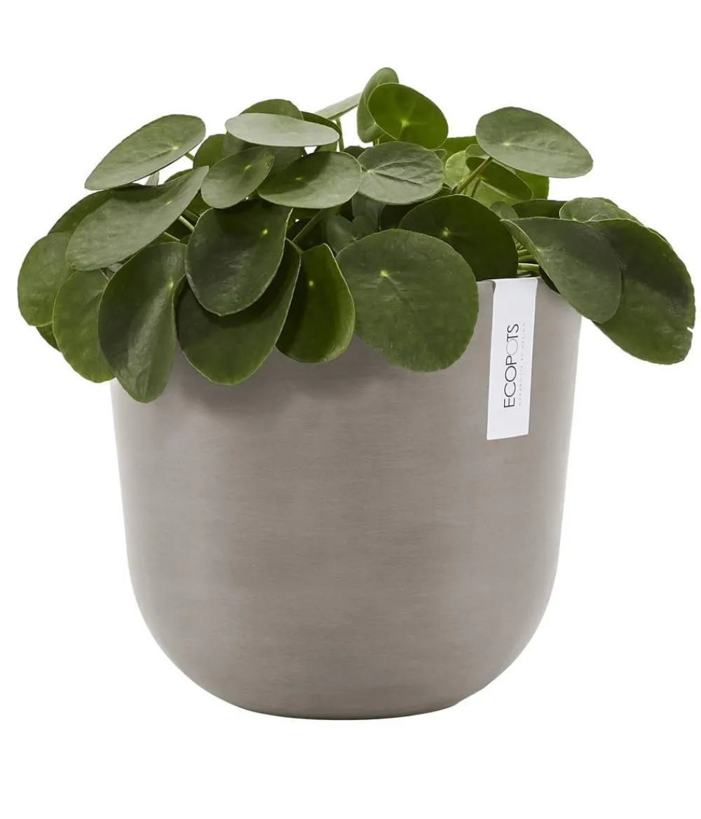 Ecopots Blumentöpfe & Übertöpfe > Kunststoff-Topf Oslo, rund