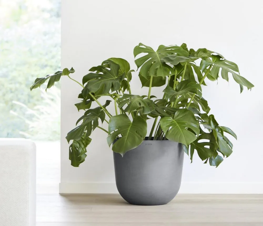 Ecopots Kunststoff-Topf Oslo, rund Grau Hot