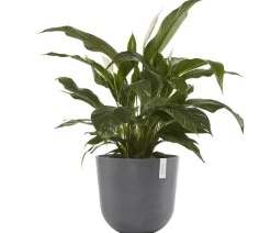 Ecopots Kunststoff-Topf Oslo, rund Grau Hot
