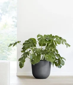 Ecopots Blumentöpfe & Übertöpfe > Kunststoff-Topf Oslo, rund