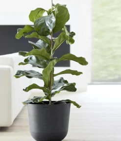 Ecopots Kunststoff-Topf Oslo, rund Dunkelgrau Clearance