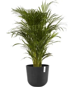 Ecopots Kunststoff-Topf Oslo, rund Dunkelgrau Clearance