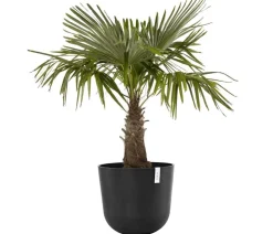 Ecopots Kunststoff-Topf Oslo, rund Dunkelgrau Sale