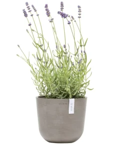 Ecopots Kunststoff-Topf Oslo Mini, rund Taupe Sale