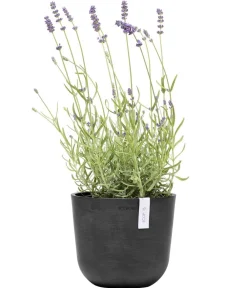 Ecopots Kunststoff-Topf Oslo Mini, rund Dunkelgrau Outlet
