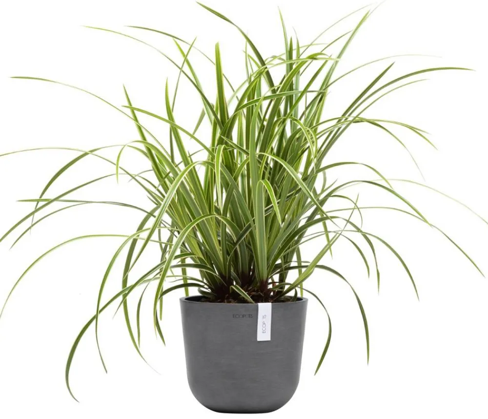 Ecopots Blumentöpfe & Übertöpfe > Kunststoff-Topf Oslo Mini, rund