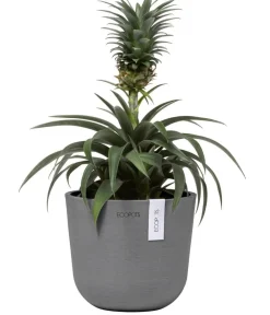 Ecopots Kunststoff-Topf Oslo Mini, rund Grau Online