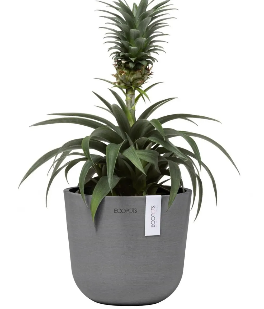 Ecopots Kunststoff-Topf Oslo Mini, rund Grau Online