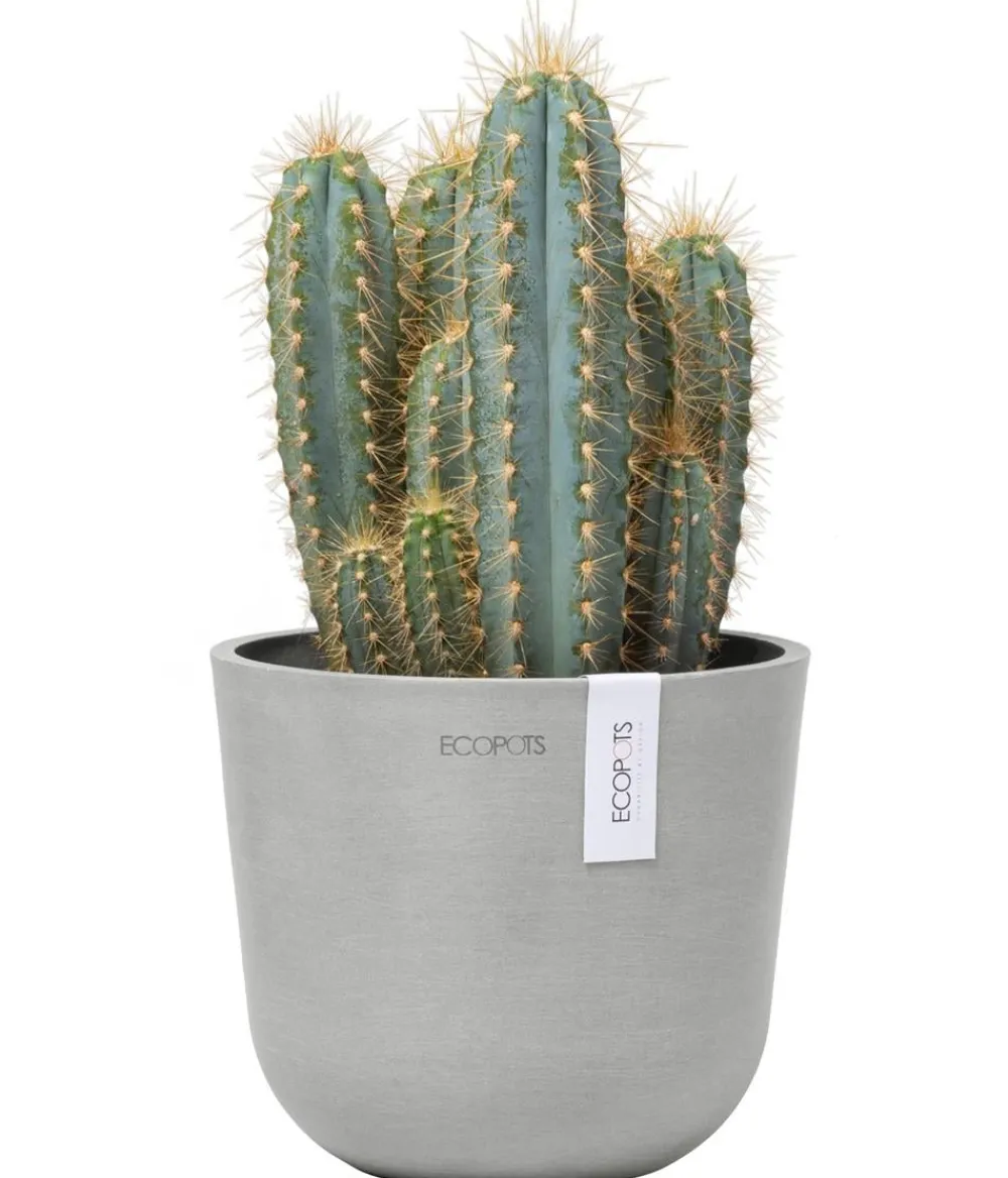 Ecopots Blumentöpfe & Übertöpfe - Kunststoff-Topf Oslo Mini, rund Hellgrau