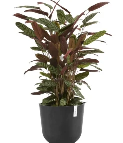 Ecopots Blumentöpfe & Übertöpfe > Kunststoff-Topf Oslo mit Wassersystem, rund