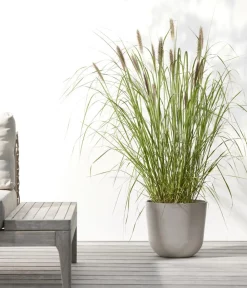 Ecopots Blumentöpfe & Übertöpfe > Kunststoff-Topf Oslo mit Wassersystem, rund