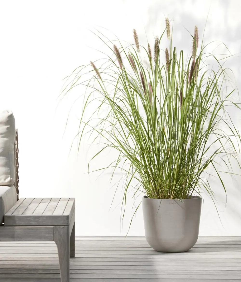 Ecopots Blumentöpfe & Übertöpfe > Kunststoff-Topf Oslo mit Wassersystem, rund