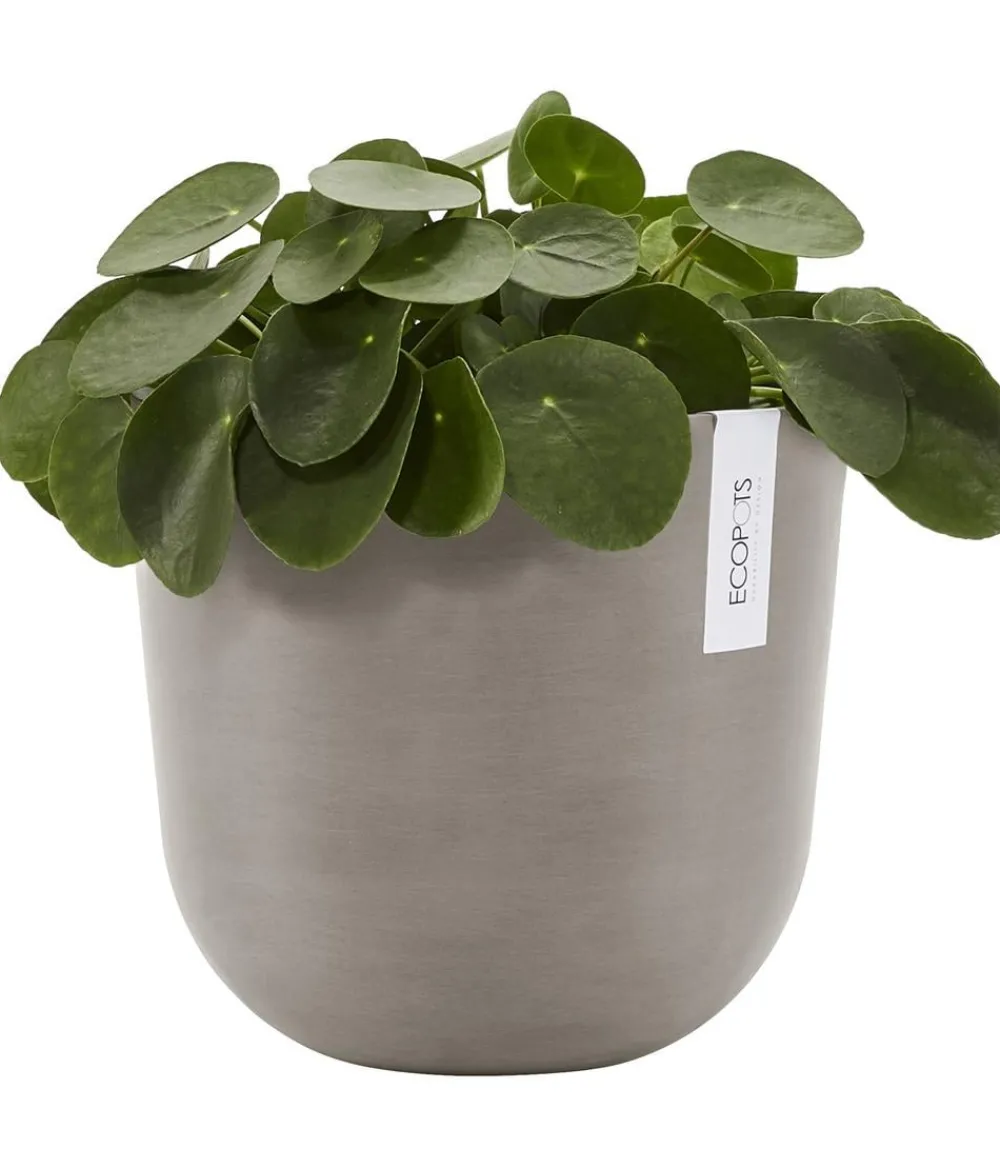 Ecopots Blumentöpfe & Übertöpfe > Kunststoff-Topf Oslo mit Wassersystem, rund