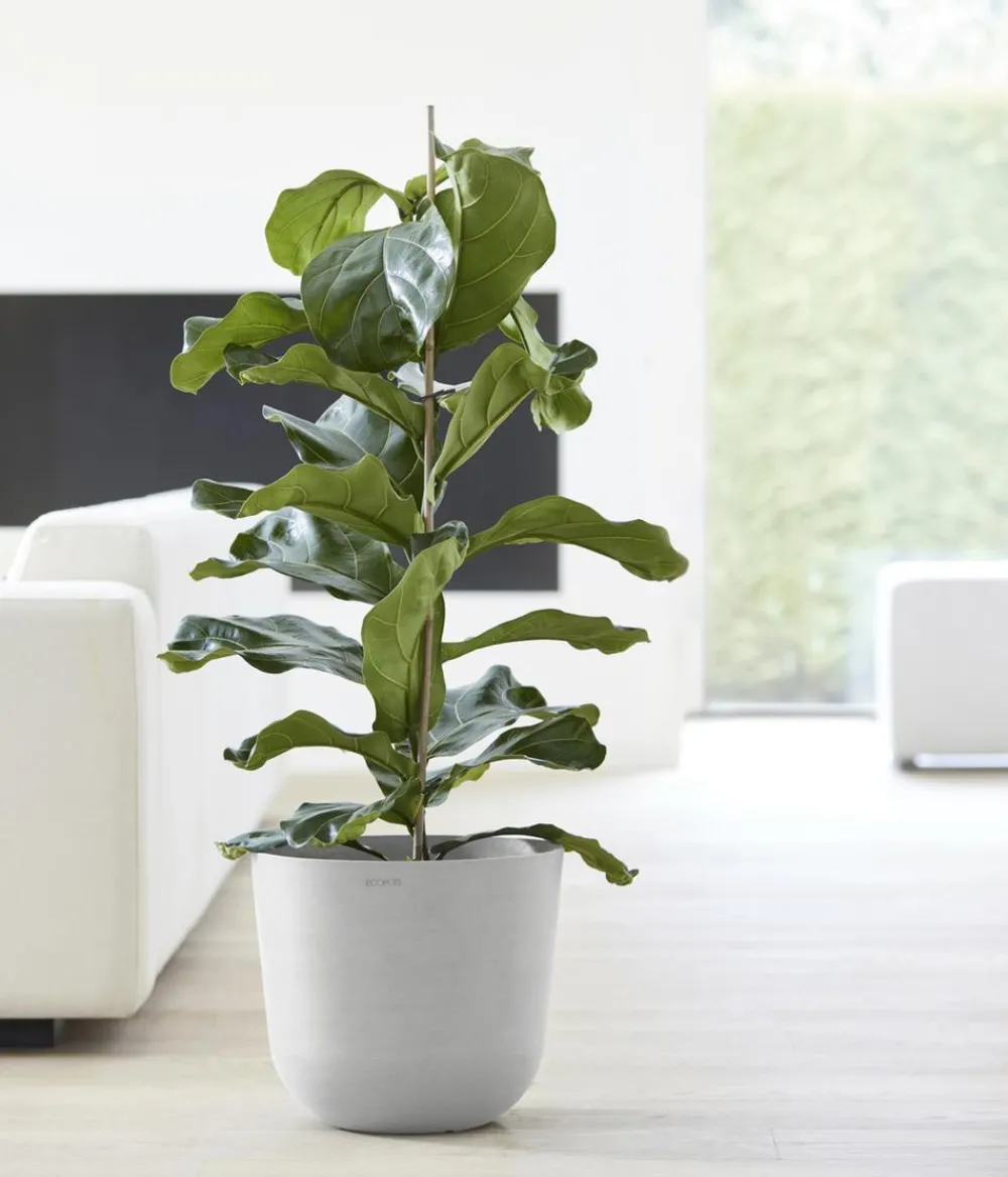 Ecopots Blumentöpfe & Übertöpfe > Kunststoff-Topf Oslo mit Wassersystem, rund