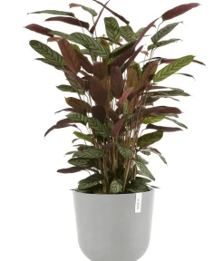 Ecopots Blumentöpfe & Übertöpfe > Kunststoff-Topf Oslo mit Wassersystem, rund