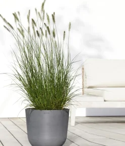 Ecopots Blumentöpfe & Übertöpfe > Kunststoff-Topf Oslo mit Wassersystem, rund