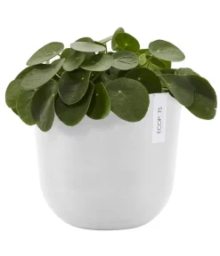 Ecopots Blumentöpfe & Übertöpfe > Kunststoff-Topf Oslo mit Wassersystem, rund