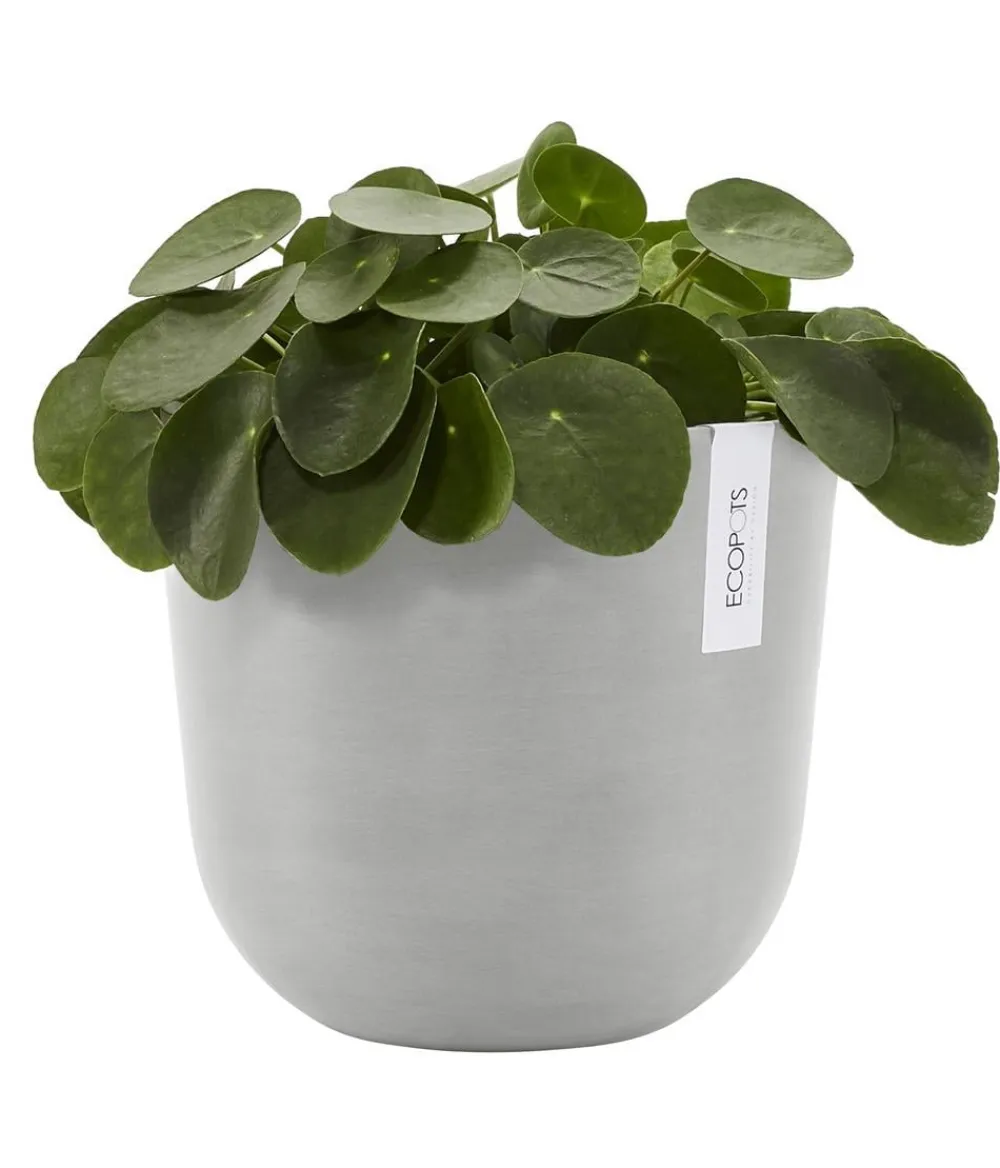 Ecopots Kunststoff-Topf Oslo mit Wassersystem, rund Hellgrau Outlet