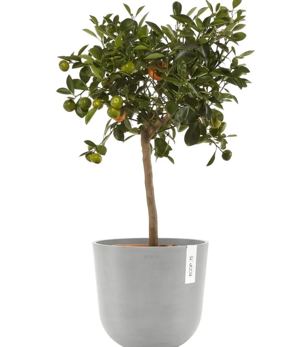 Ecopots Kunststoff-Topf Oslo mit Wassersystem, rund Hellgrau Outlet