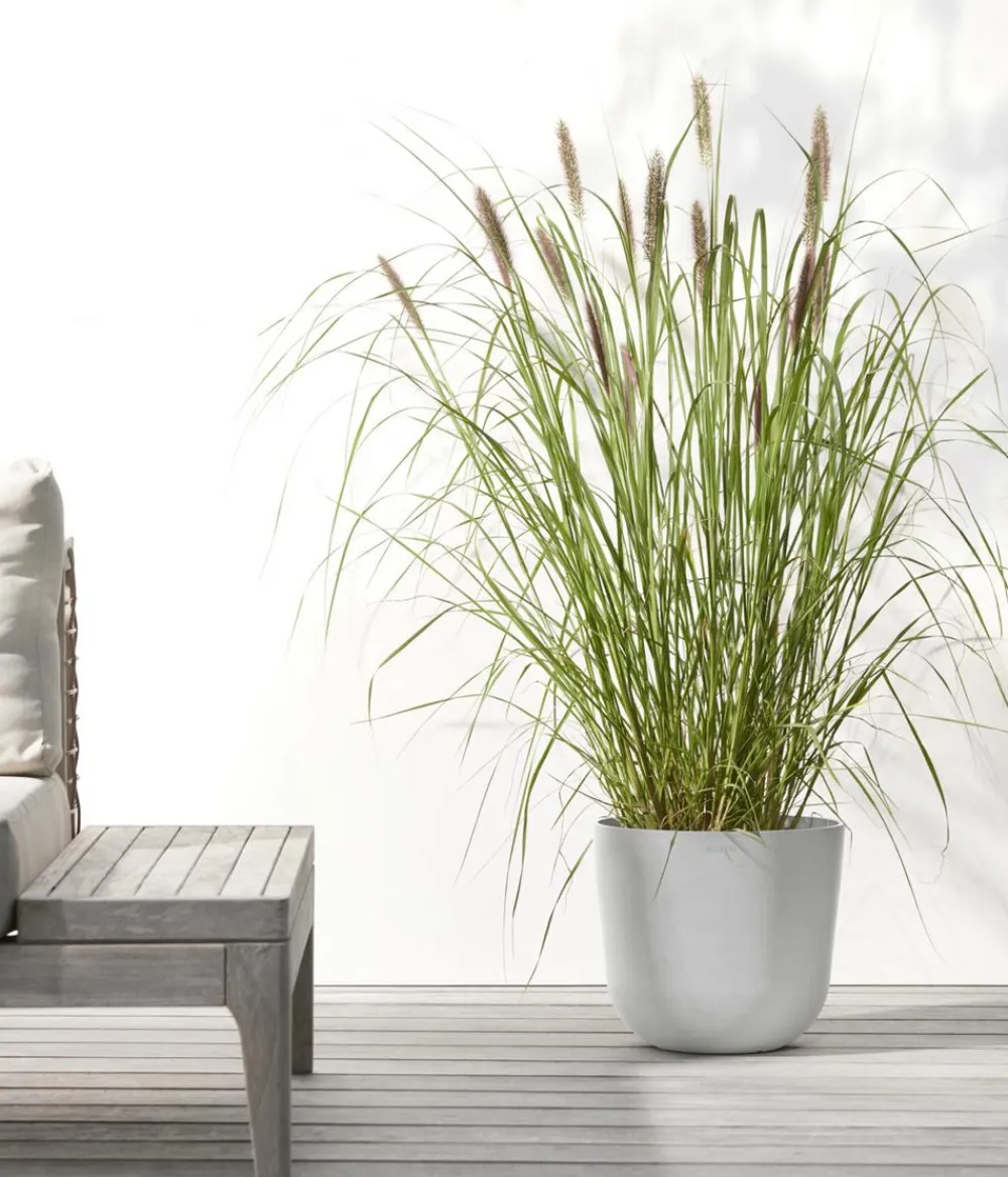Ecopots Kunststoff-Topf Oslo mit Wassersystem, rund Hellgrau Outlet
