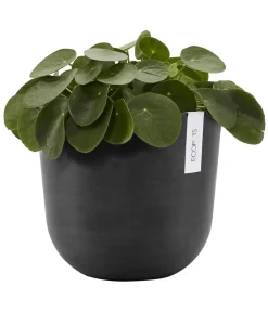Ecopots Kunststoff-Topf Oslo mit Wassersystem, rund Dunkelgrau Clearance