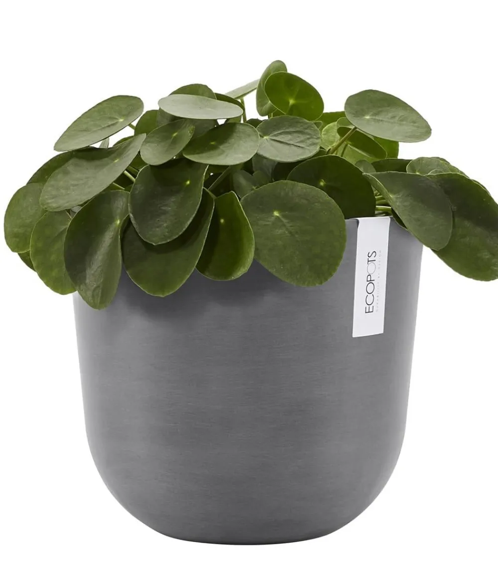 Ecopots Kunststoff-Topf Oslo mit Wassersystem, rund Grau Best