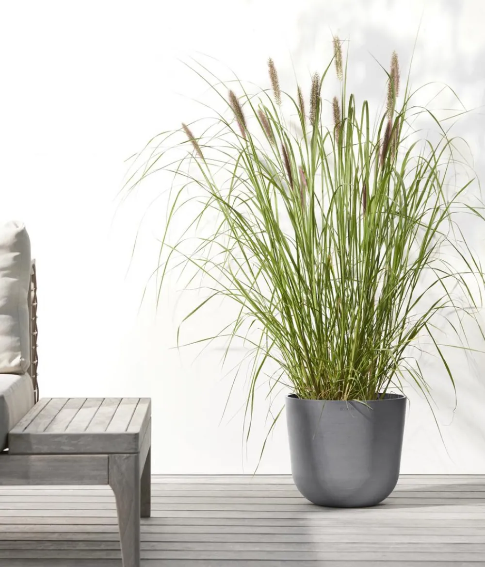 Ecopots Kunststoff-Topf Oslo mit Wassersystem, rund Grau Best