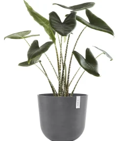 Ecopots Blumentöpfe & Übertöpfe - Kunststoff-Topf Oslo mit Wassersystem, rund Grau