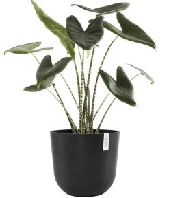 Ecopots Blumentöpfe & Übertöpfe - Kunststoff-Topf Oslo mit Wassersystem, rund Dunkelgrau