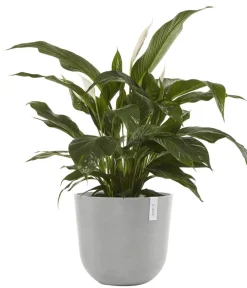 Ecopots Blumentöpfe & Übertöpfe - Kunststoff-Topf Oslo mit Wassersystem, rund Hellgrau