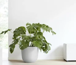 Ecopots Blumentöpfe & Übertöpfe - Kunststoff-Topf Oslo mit Wassersystem, rund Hellgrau