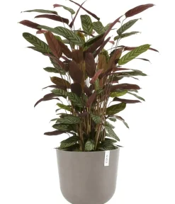 Ecopots Blumentöpfe & Übertöpfe - Kunststoff-Topf Oslo mit Wassersystem, rund Taupe