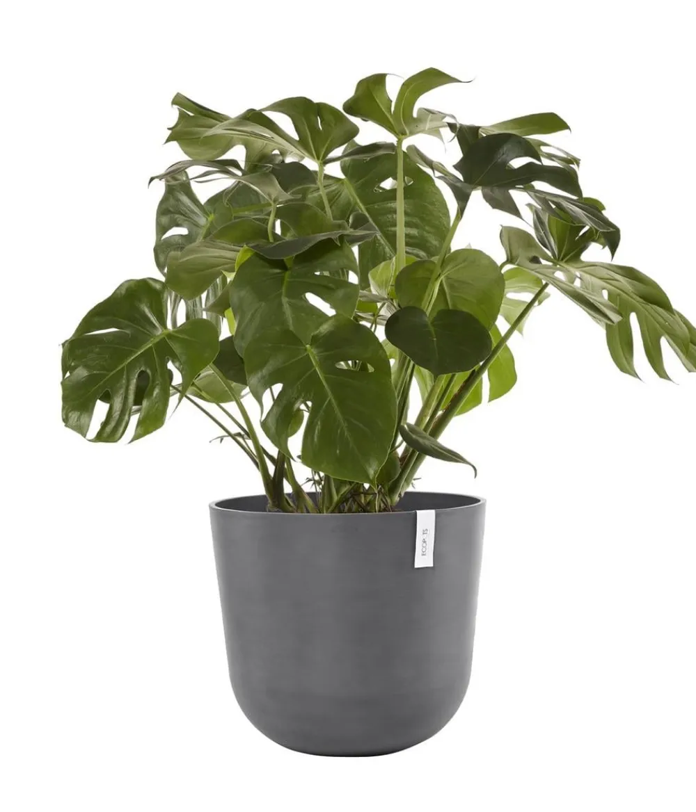 Ecopots Blumentöpfe & Übertöpfe - Kunststoff-Topf Oslo mit Wassersystem, rund Grau