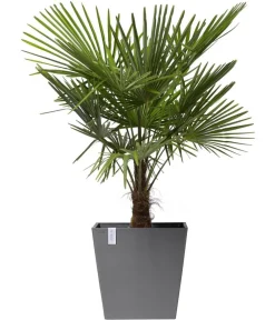Ecopots Blumentöpfe & Übertöpfe > Kunststoff-Topf Rotterdam mit Rollen und Wassersystem, quadratisch