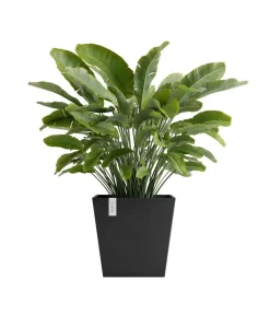 Ecopots Blumentöpfe & Übertöpfe > Kunststoff-Topf Rotterdam mit Wassersystem, quadratisch
