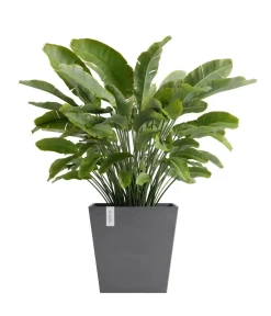 Ecopots Blumentöpfe & Übertöpfe - Kunststoff-Topf Rotterdam mit Wassersystem, quadratisch Taupe