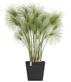 Ecopots Kunststoff-Topf Rotterdam mit Wassersystem, quadratisch Dunkelgrau Best