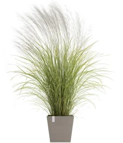 Ecopots Kunststoff-Topf Rotterdam mit Wassersystem, quadratisch Taupe Online
