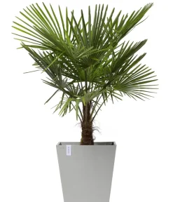 Ecopots Blumentöpfe & Übertöpfe > Kunststoff-Topf Rotterdam mit Rollen und Wassersystem, quadratisch