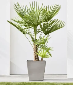 Ecopots Blumentöpfe & Übertöpfe - Kunststoff-Topf Rotterdam mit Rollen und Wassersystem, quadratisch Taupe