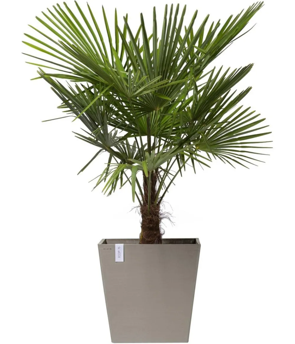 Ecopots Blumentöpfe & Übertöpfe - Kunststoff-Topf Rotterdam mit Rollen und Wassersystem, quadratisch Taupe