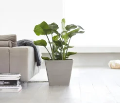 Ecopots Kunststoff-Topf Rotterdam, quadratisch Taupe Outlet